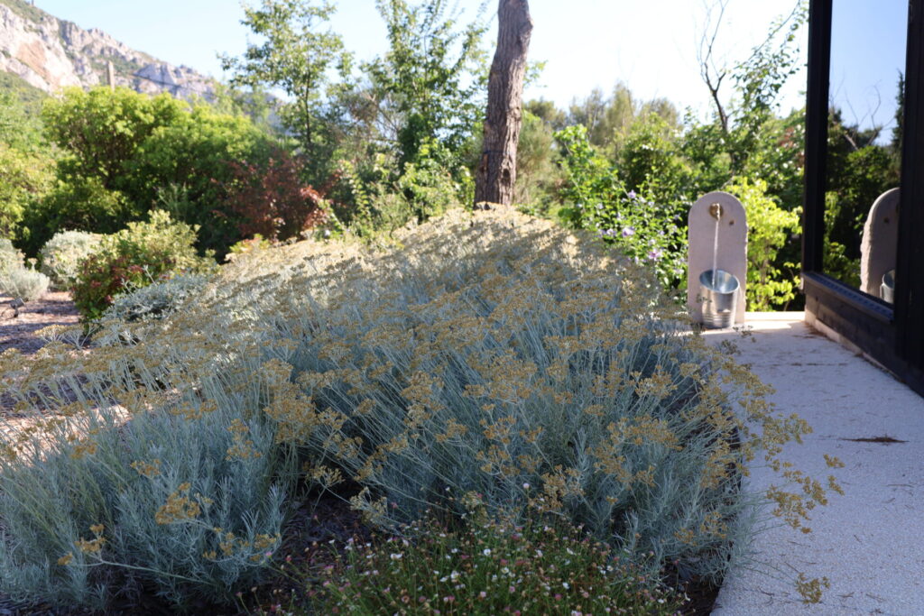 Paysagiste Roquevaire - Jardin naturel écologique - Pierre Aussourd