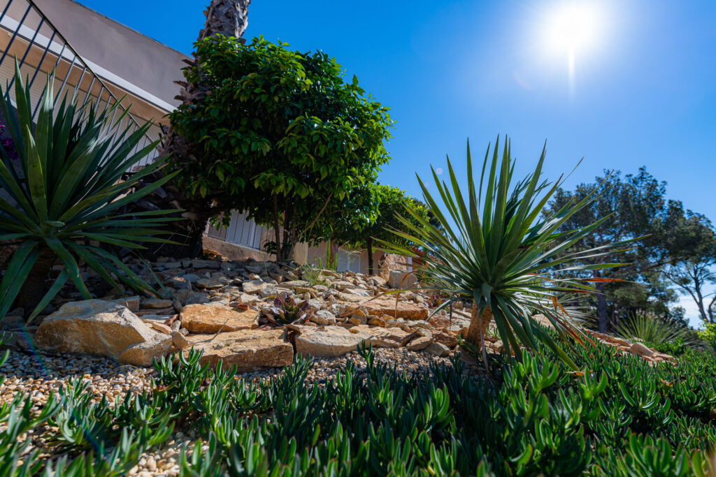 Jardin Méditerranéen - Jardin provençal - Jardin Sec - Paysagiste Pierre Aussourd La Ciotat
