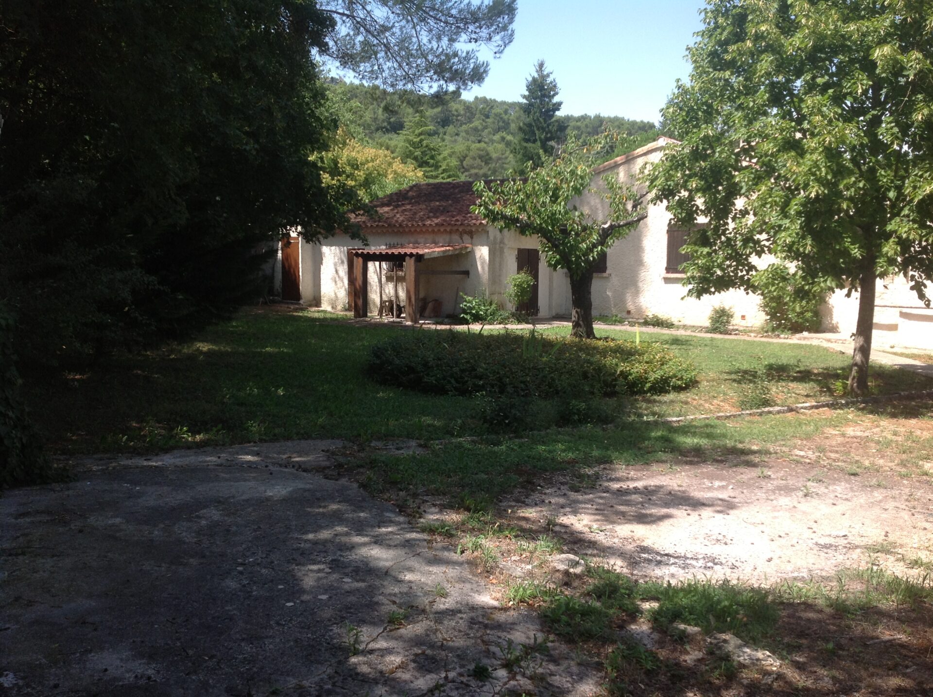 Jardin avant transformation - Paysagiste Var - Pierre Aussourd