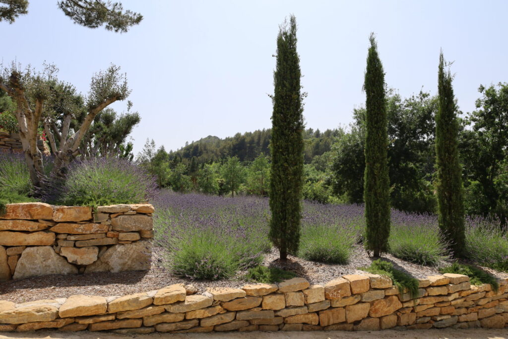 Jardin méditerranéen - Paysagiste Sud Var - Pierre Aussourd