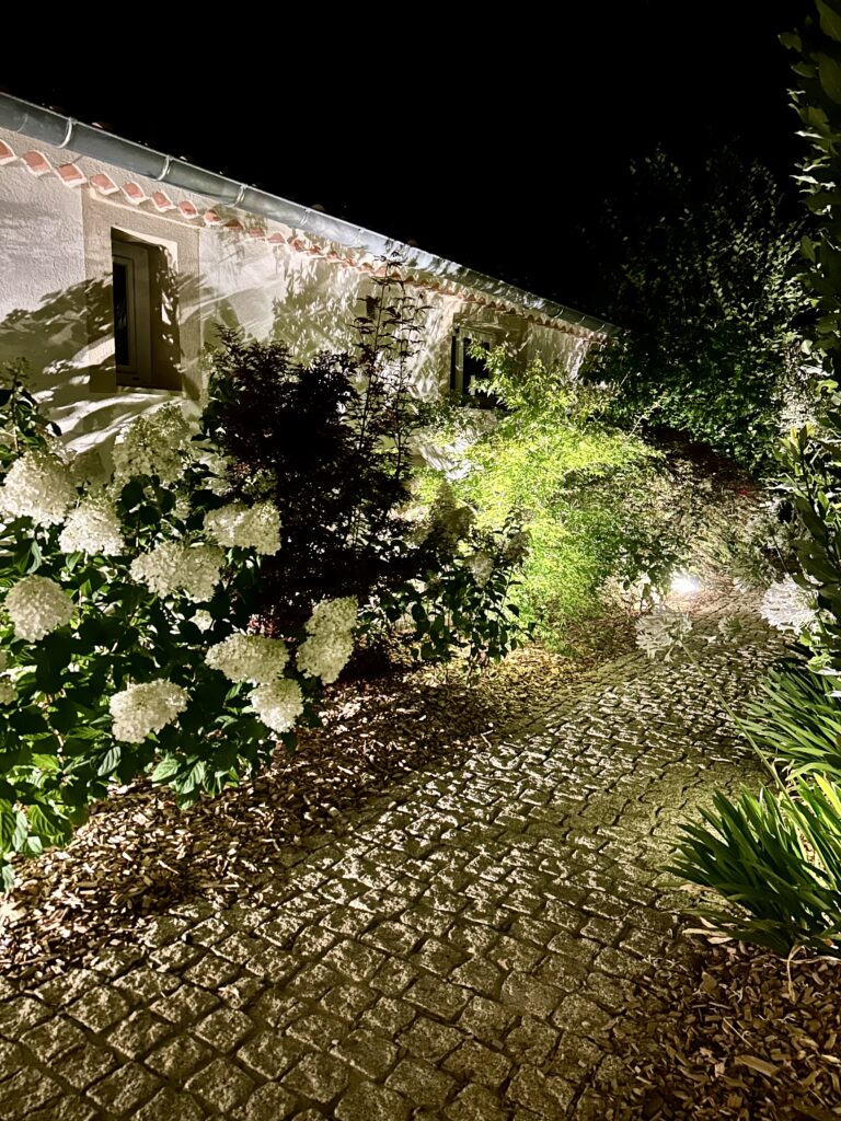 Eclairage extérieur jardin - Paysagiste Var - Pierre Aussourd