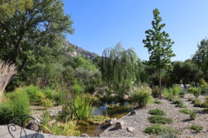 Jardin sur-mesure - Paysagiste Pierre Aussourd - Var